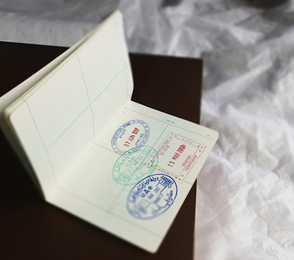 How to Choose the Right Citizenship by Investment Program